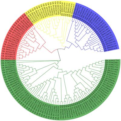 Genome-Wide Analysis of the Cytochrome P450 Gene Family Involved in Salt Tolerance in Gossypium hirsutum